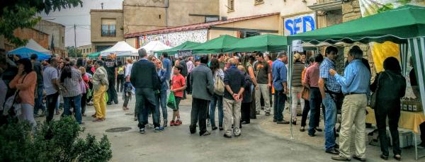 4.10.2015 mostra de la terra  Sedó -  Ramon Sunyer