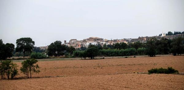 4.10.2015 vista del poble  Sedó -  Ramon Sunyer