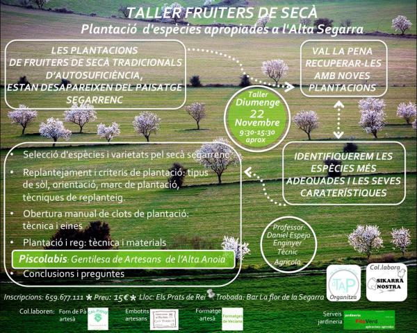 cartell TALLER: FRUITERS DE SECÀ, Plantació d'espècies a propiades a l'Alta Segarra