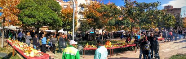 1.11.2015 vista de la fira  Calaf -  Ramon Sunyer