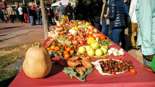 1.11.2015 fruits de tardor  Calaf -  Ramon Sunyer