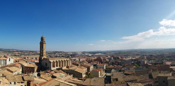 1.11.2015 vista des del castell  Calaf -  Ramon Sunyer