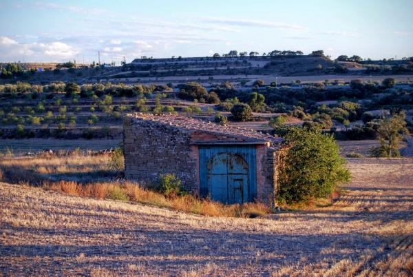 9 de Novembre de 2015 cabana  Tordera -  Ramon Sunyer