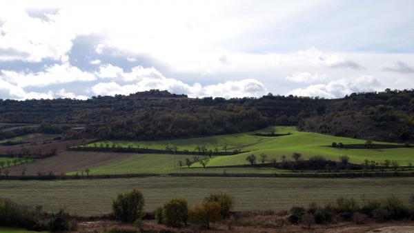 22 de Novembre de 2015 sembrats  Sant Antolí i Vilanova -  Ramon Sunyer