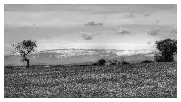 Mirant al Montsec 22.11.2015 Mirant al Montsec Tarroja de Segarra - Ramon Sunyer