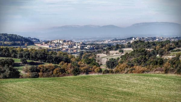 30 de Novembre de 2015 Montpalau i Vergós Guerrejat des de la Rabassa  Montpalau -  Ramon Sunyer