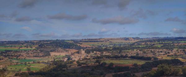 22.11.2015 Paisatge de tardor  Malgrat -  Ramon Sunyer