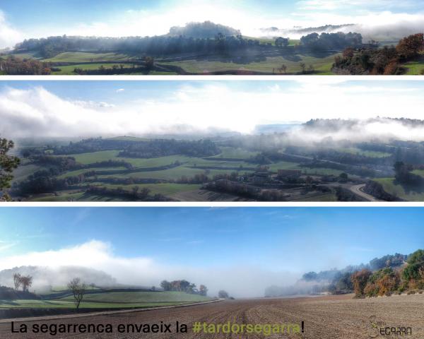 13 de Desembre de 2015 La segarrenca envaeix la tardor segarra  segarra -  Som Segarra