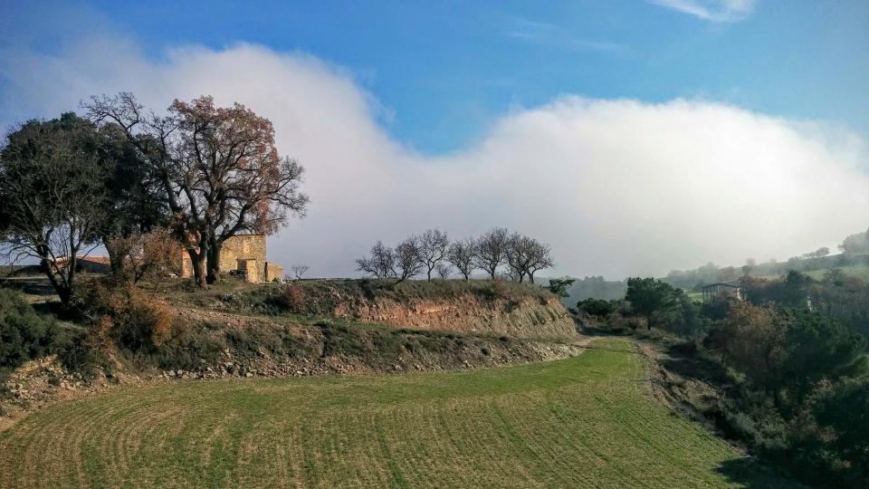 13 de Desembre de 2015 paisatge  Talavera -  Ramon Sunyer