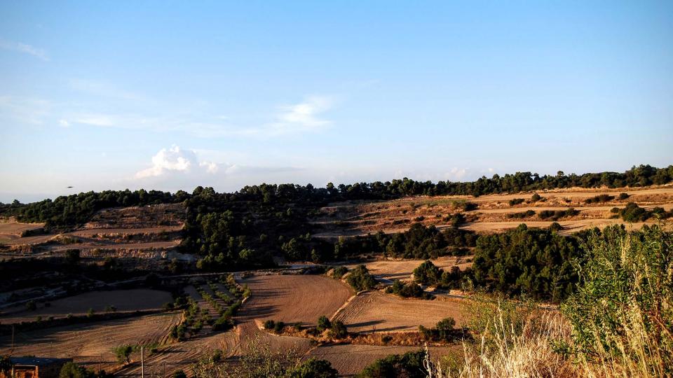 28.8.2015 Vista des del castell  Montoliu de Segarra -  Ramon Sunyer