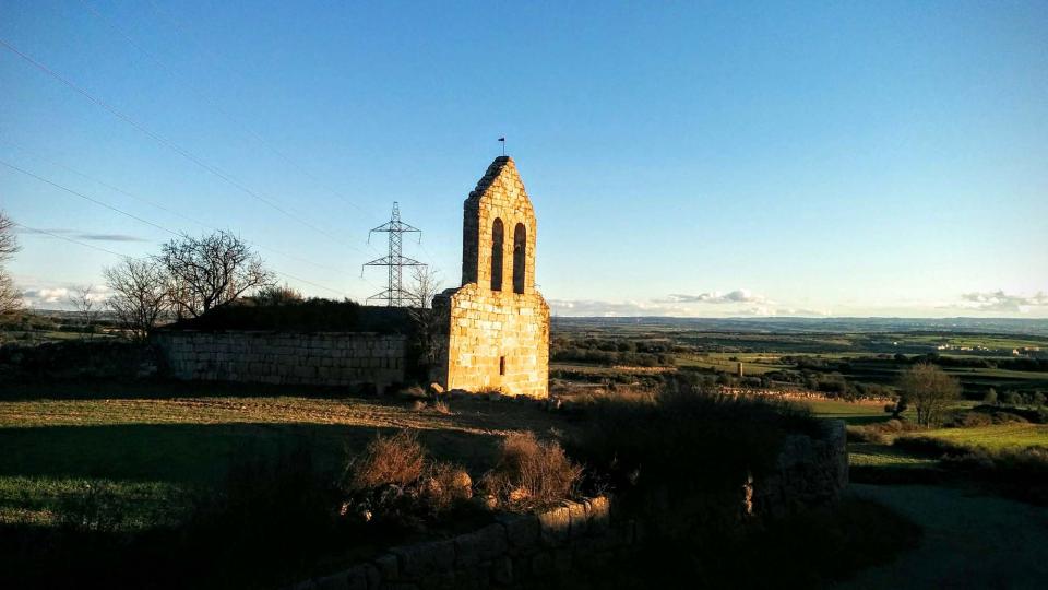 5.1.2016 Sant Pere de les Sitges  Florejacs -  Ramon Sunyer