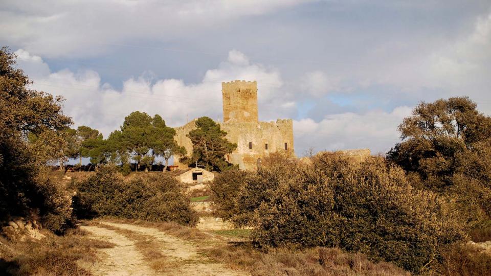 5.1.2016 les Sitges  Florejacs -  Ramon Sunyer