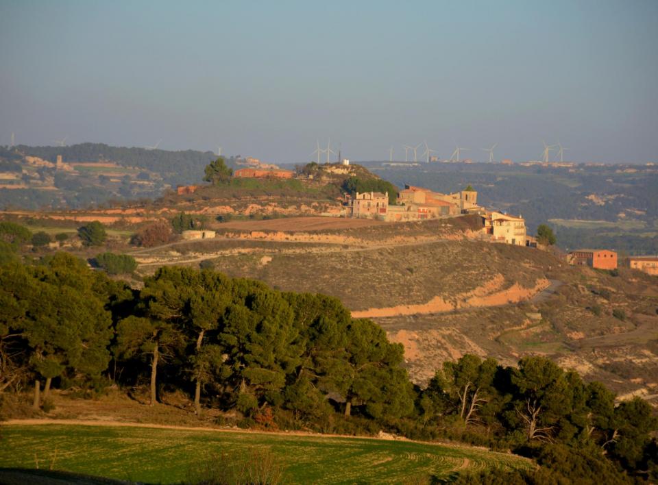 25.1.2016 Rubinat, Ribera d'Ondara.  Rubinat -  Àngela Llop