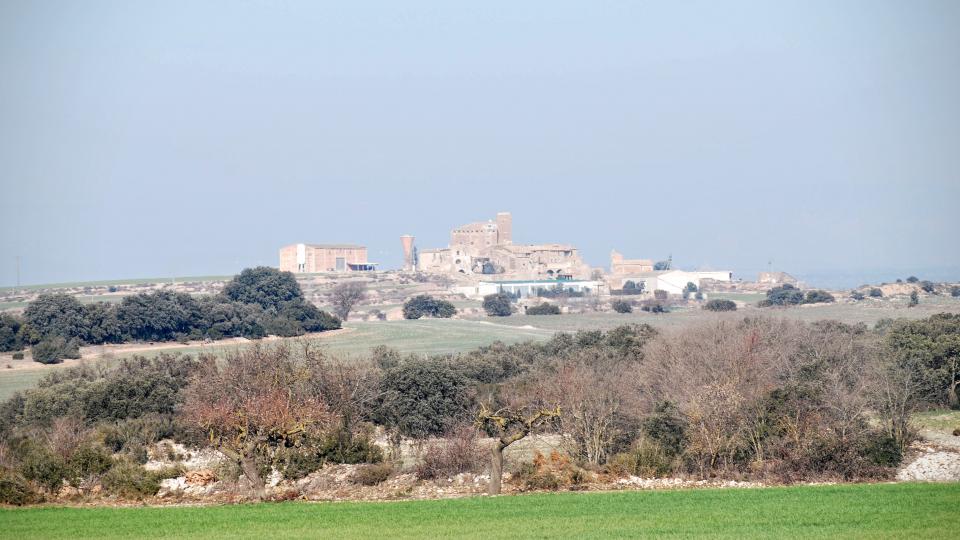 24.1.2016 L'Aranyó des del Canós  L'Aranyó -  Ramon Sunyer