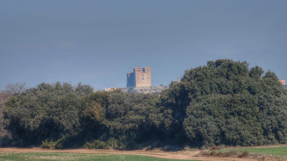 24.1.2016 Montcortès de Segarra des del Canós  Montcortès de Segarra -  Ramon Sunyer