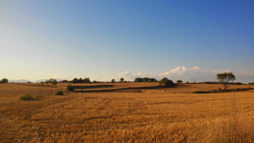 27.08.2014 paisatge  Concabella -  Ramon Sunyer