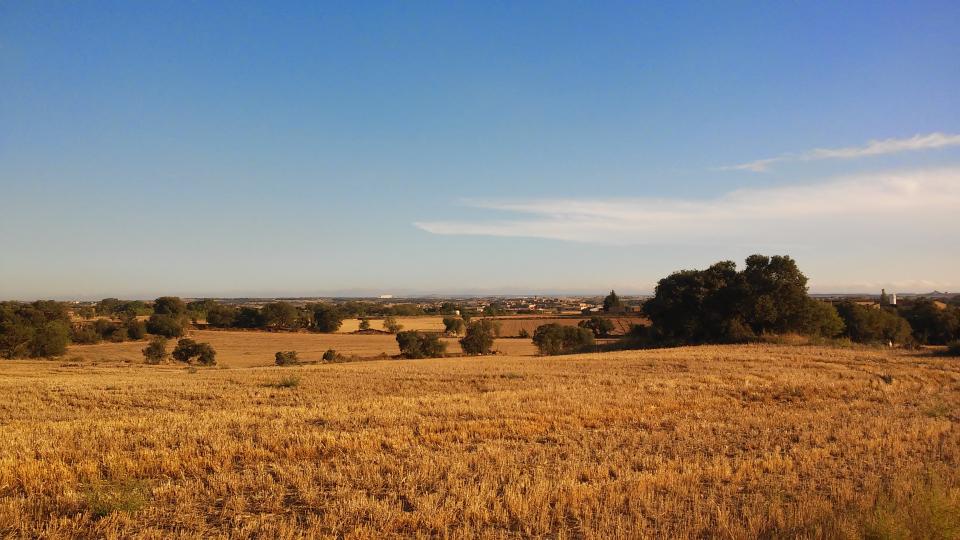 27.08.2014 paisatge  Concabella -  Ramon Sunyer
