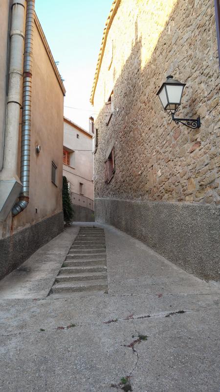 27.8.2014 carrer  Pelagalls -  Ramon Sunyer