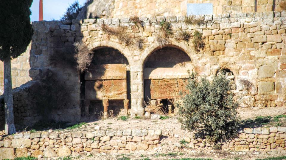 28.12.2015 Sarcòfags dels Sa Cirera  Lloberola -  Ramon Sunyer