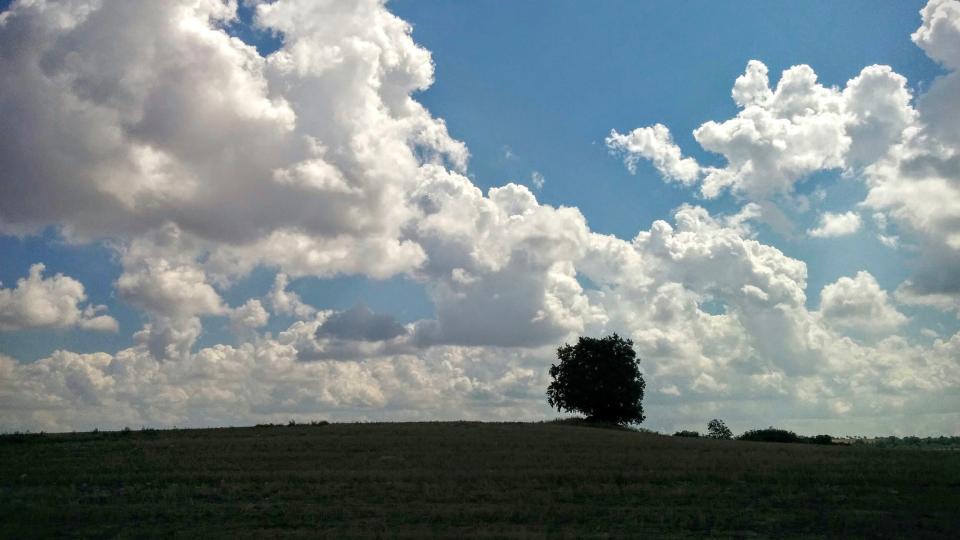 Ruta a peu de Vicfred, Comabella, Viver, Vicfred - Autor Ramon Sunyer (2015)