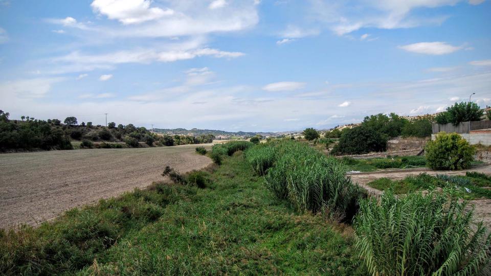 13.9.2015 l'Ondara  Sant Antolí i Vilanova -  Ramon Sunyer