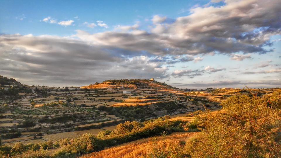 11.7.2014 paisatge  La Guàrdia Lada -  Ramon Sunyer