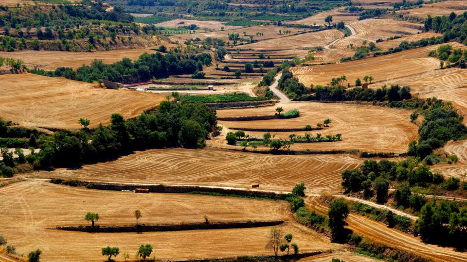 20.8.2002 Paisatge  Montornès de Segarra -  Carme Queraltó Duch