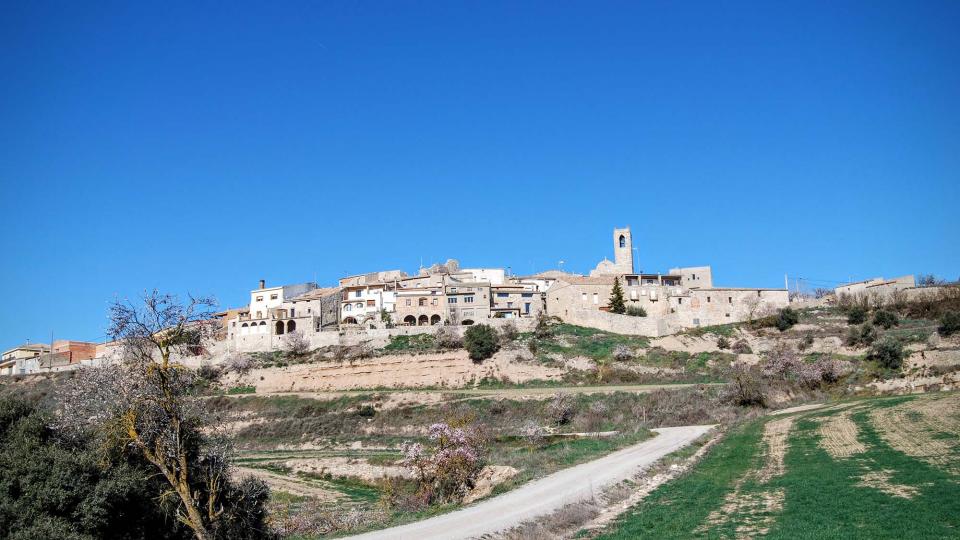 7.2.2016 vista sud  Montoliu de Segarra -  Ramon Sunyer