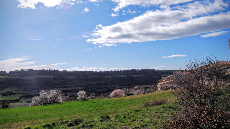 7.2.2016 paisatge  Montoliu de Segarra -  Ramon Sunyer