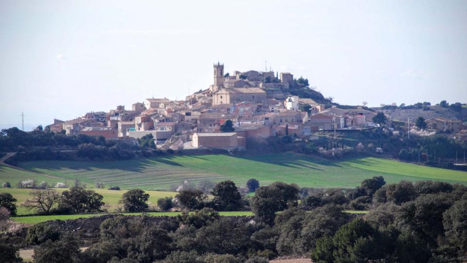 7.2.2016 vista  Granyena de Segarra -  Ramon Sunyer