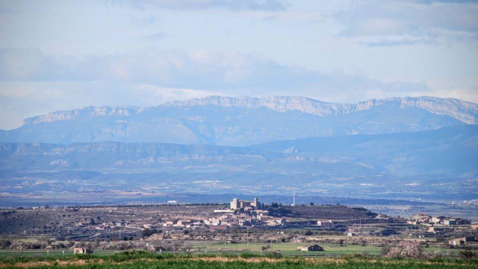 7.2.2016 Amb el Montsec de fons  La Curullada -  Ramon Sunyer