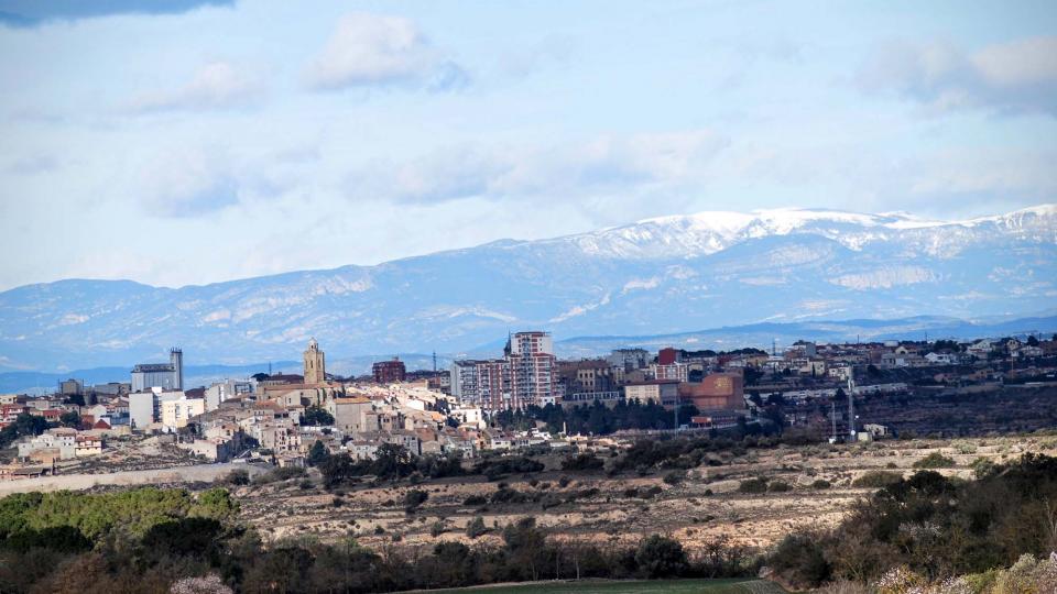 7.2.2016 Amb el Pirineu de fons  Cervera -  Ramon Sunyer