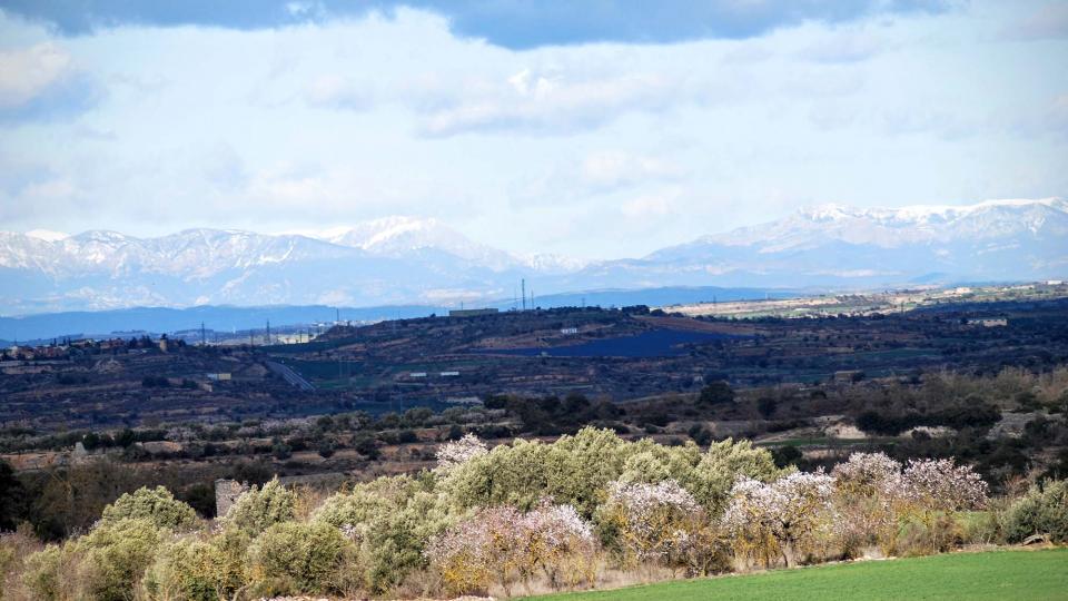 7.2.2016 Amb el Pirineu de fons  -  Ramon Sunyer