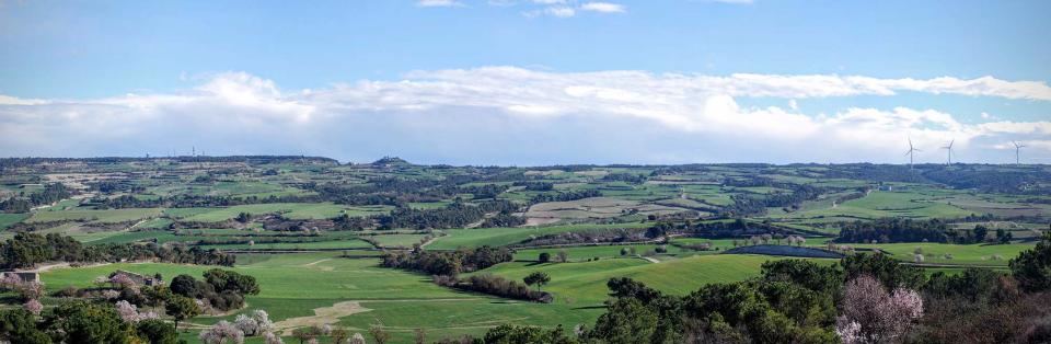 8.2.2016 Paisatge de la Vall d'Ondara  Talavera -  Ramon Sunyer