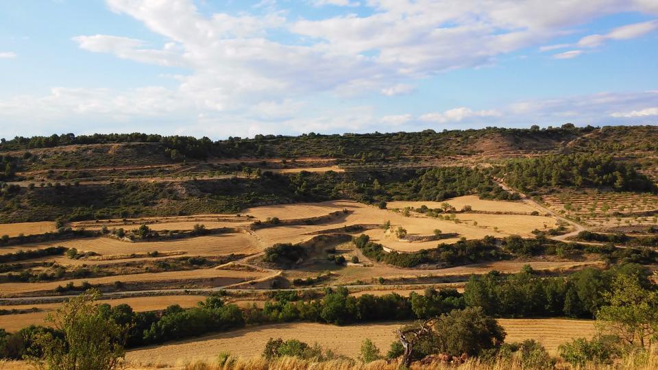 12.7.2014 paisatge  Montornès de Segarra -  Ramon Sunyer