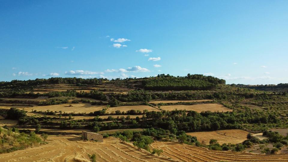 12.7.2014 paisatge  Montornès de Segarra -  Ramon Sunyer