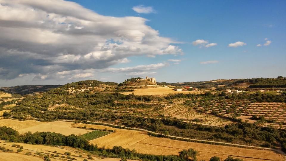 12.7.2014 vista general  Montornès de Segarra -  Ramon Sunyer