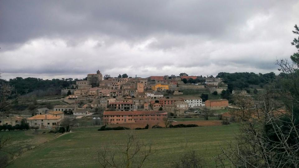 15.2.2015 vista general  Freixenet de Segarra -  Ramon Sunyer