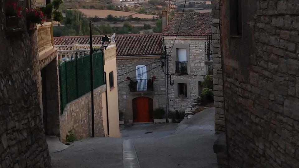 23.8.2014 carrer  Les Oluges -  Ramon Sunyer