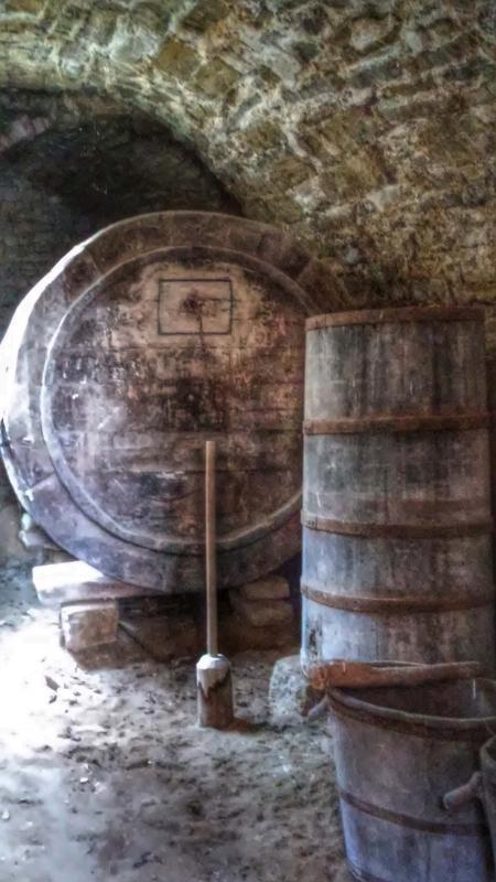celler 29.8.2014 celler Viver de Segarra - Ramon Sunyer