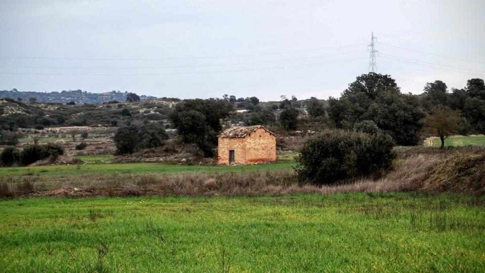 31.1.2016 cabana de teula  Sanaüja -  Ramon Sunyer