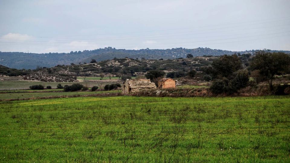 31 de Gener de 2016 cabanes  Sanaüja -  Ramon Sunyer