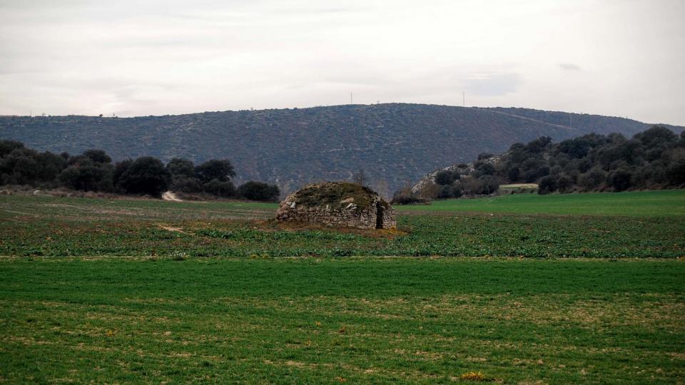 31 de Gener de 2016 cabana de volta  Sanaüja -  Ramon Sunyer