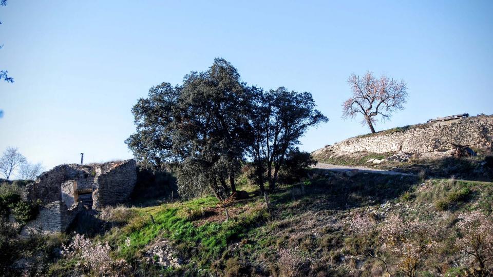 17.2.2016 paisatge  Briançó -  Ramon Sunyer