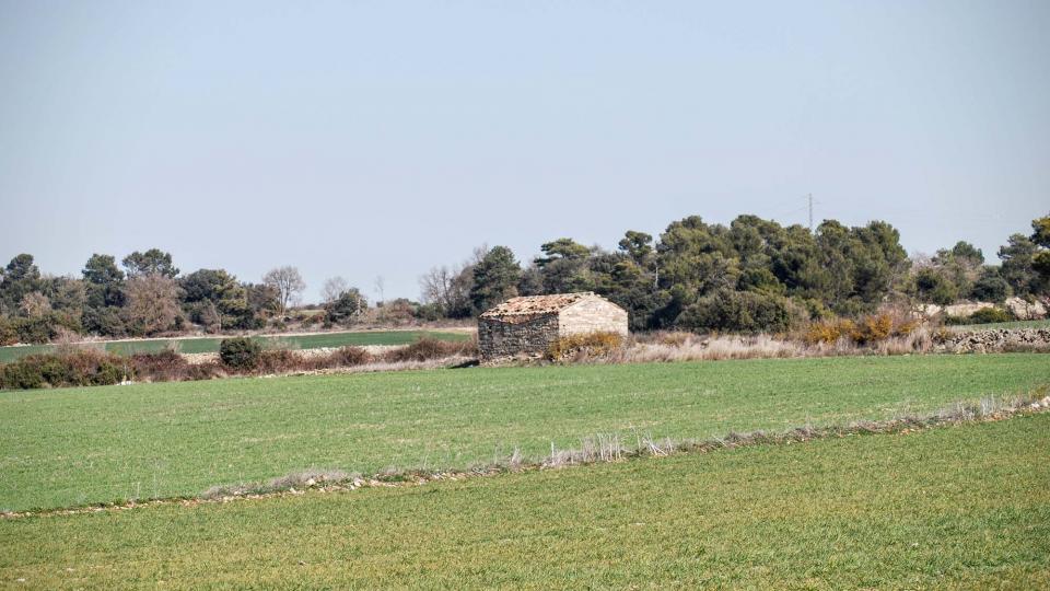 21.2.2016 cabana de teula  L'Ametlla de Segarra -  Ramon Sunyer