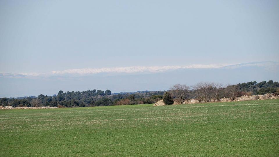 21.2.2016 paisatge  L'Ametlla de Segarra -  Ramon Sunyer