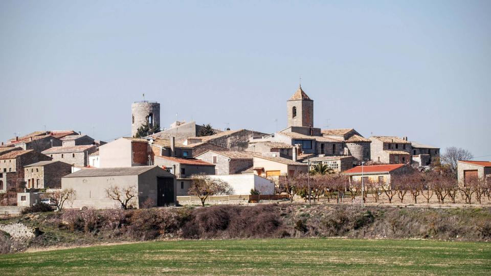 21.2.2016 vista sud  L'Ametlla de Segarra -  Ramon Sunyer