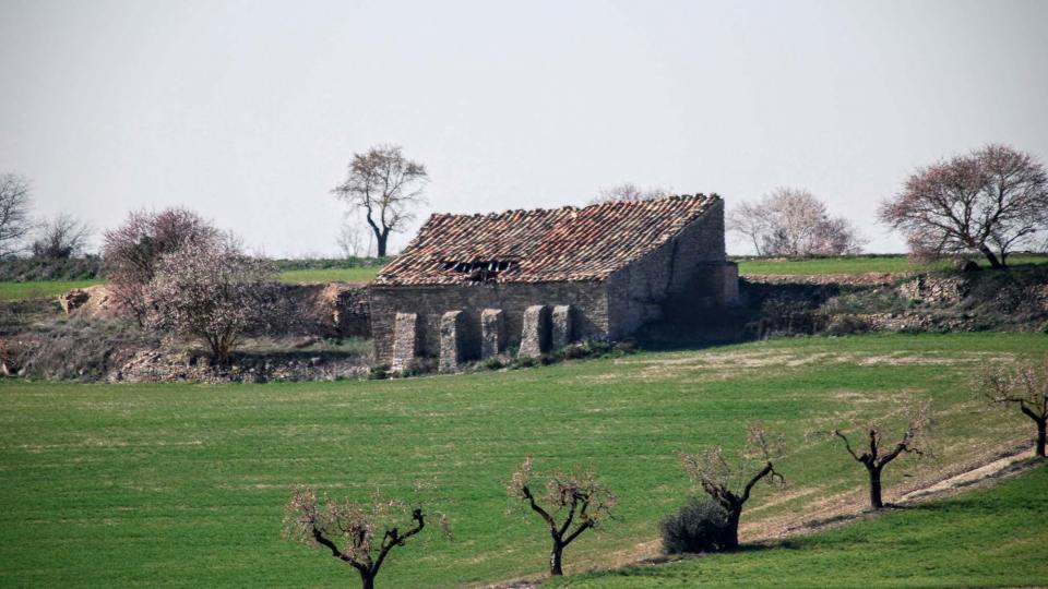 21.2.2016 cabana de teula  L'Ametlla de Segarra -  Ramon Sunyer