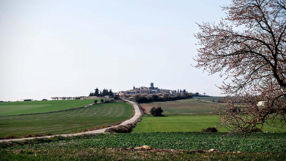 21.2.2016 vista  L'Ametlla de Segarra -  Ramon Sunyer