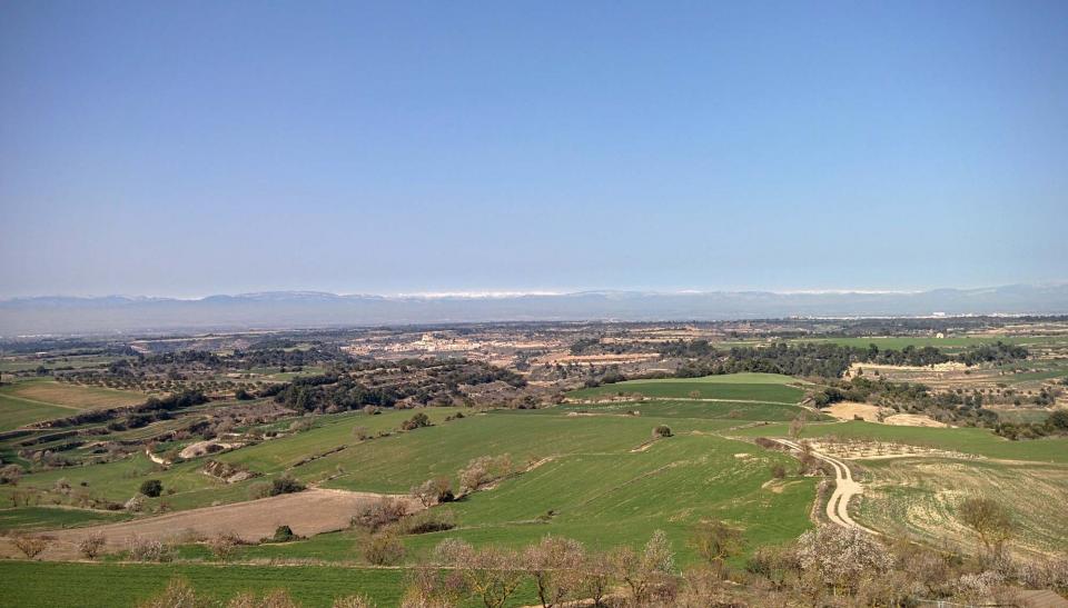 21.2.2016 paisatge  L'Ametlla de Segarra -  Ramon Sunyer